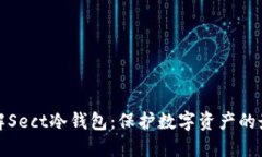 深入了解Sect冷钱包：保护数字资产的最佳选择