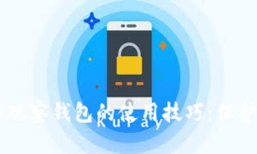 了解冷钱包与观察钱包的使用技巧：保护你的数字资产