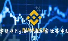 揭秘数字货币Pig：如何在加密世界中站稳脚跟