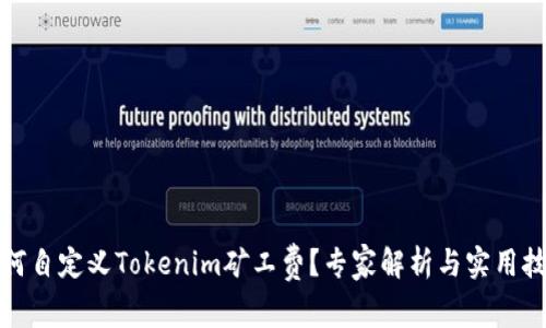 如何自定义Tokenim矿工费？专家解析与实用技巧