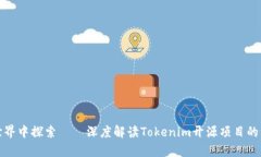 在区块链世界中探索——深度解读Tokenim开源项目