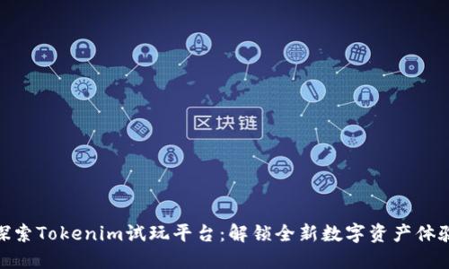 探索Tokenim试玩平台:解锁全新数字资产体验