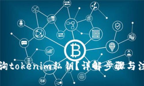 如何查询tokenim私钥？详解步骤与注意事项
