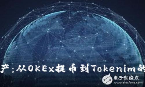 轻松转移资产:从OKEx提币到Tokenim的全流程指南