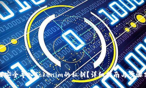 如何安全导入Tokenim的私钥?详细指南与步骤分享