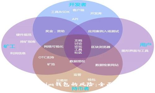 揭开Tokentokenim钱包的风险：全面测评与通关攻略