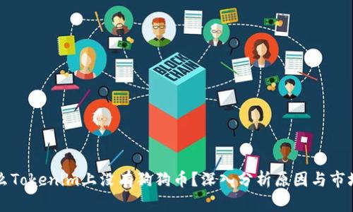 为什么Tokenim上没有狗狗币?深入分析原因与市场动向