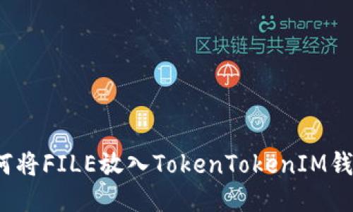 如何将FILE放入TokenTokenIM钱包?