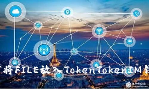 如何将FILE放入TokenTokenIM钱包?