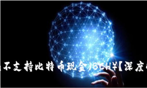 为什么Tokenim不支持比特币现金(BCH)?深度解析与用户影响