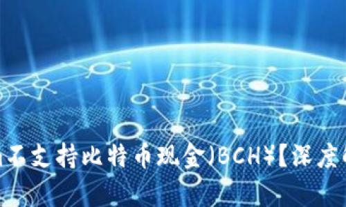 为什么Tokenim不支持比特币现金(BCH)?深度解析与用户影响