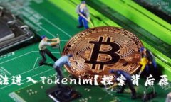 ETC为何无法进入Tokenim？探索背后原因与可能性