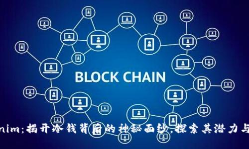 Tokenim：揭开冷钱背后的神秘面纱，探索其潜力与风险