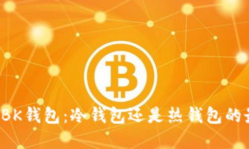 深入探讨BK钱包：冷钱包还是热钱包的最佳选择?