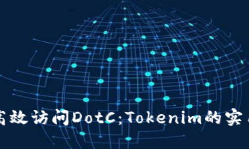 如何高效访问DotC:Tokenim的实用指南