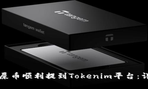 如何将屎币顺利提到Tokenim平台:详细指南