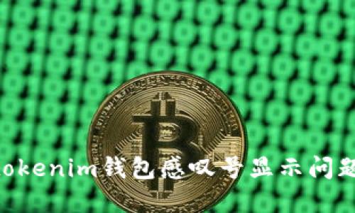 解决Tokentokenim钱包感叹号显示问题的实用指南
